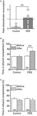 NADPH Oxidase Isoform 2 (NOX2) Is Involved in Drug Addiction Vulnerability in Progeny Developmentally Exposed to Ethanol